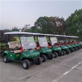 五菱高尔夫球车