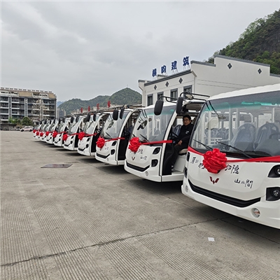 池州景区五菱观光车交付照片