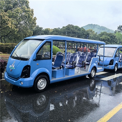 六安景区五菱观光车交付照片